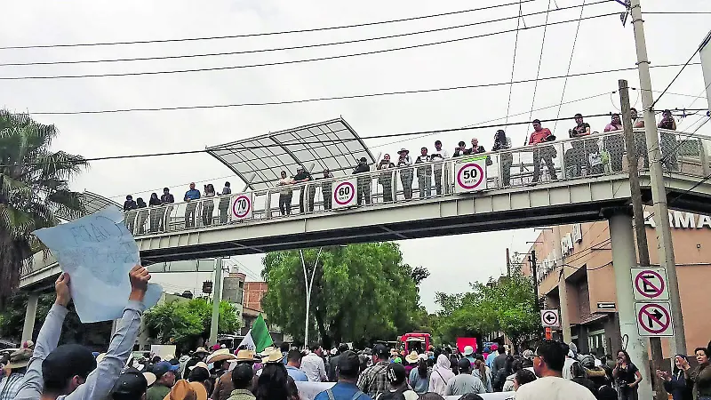 Zacatecas apoya a productores de frijol